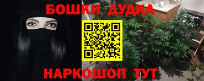 индика Азнакаево
