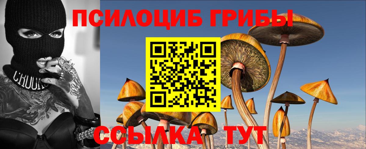 Галлюциногенные грибы GOLDEN TEACHER Абинск